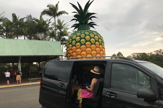 Private Transfer from Noosa to Sunshine Coast Airport up to 5 pax - FAQ