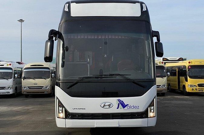 Private Transfer From or to Punta Cana Airport to hotels in Bávaro - Detailed Breakdown of the Service