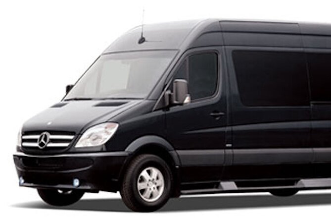 Private Transfer From Orlando Airport to Port Canaveral Cruise Ship and Hotel - Accessibility Considerations