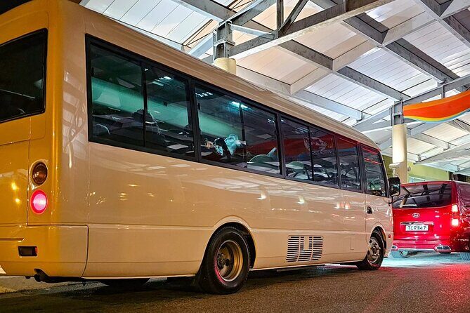 Private Transfer from Piarco Airport to San Fernando - Key Points