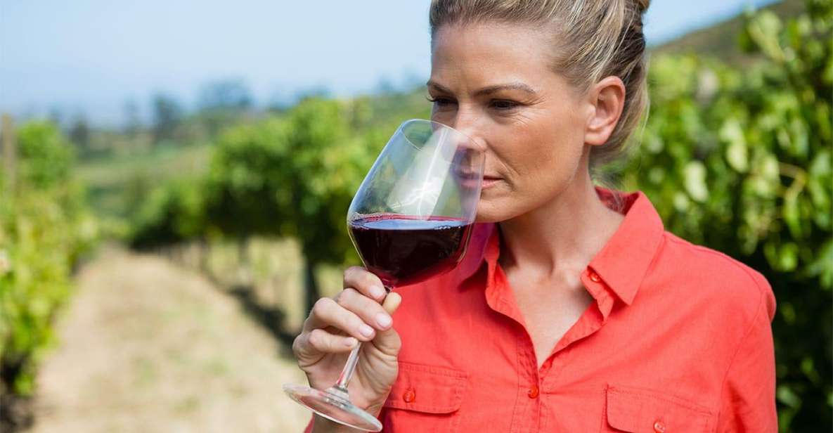 Private Transfer From Positano to Naples Stop at the Winery - Key Points