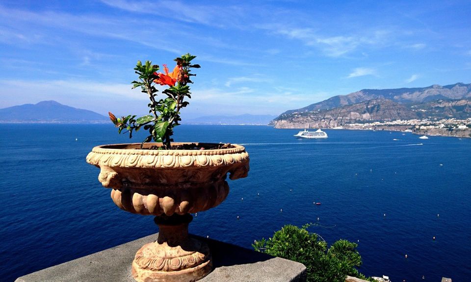 Private Transfer From Praiano to Naples - Booking Process