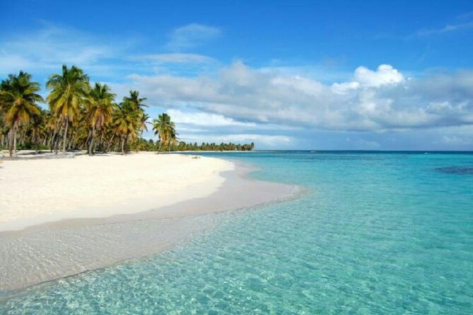 Private Transfer From Punta Cana Airport to Cap Cana, Cabeza De Toro and Bavaro - Pickup and Drop-off
