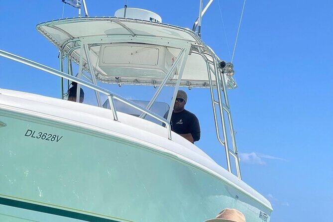 Private transfer from Punta cana hotels Bayahibe la Romana - The Overview: A Practical, Scenic Ride