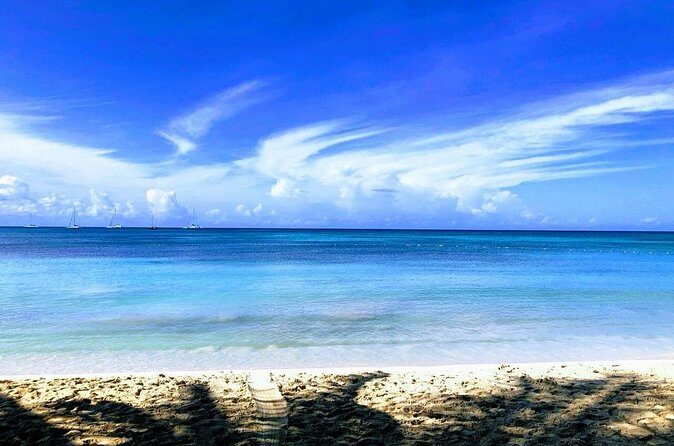 Private transfer from Punta cana hotels Bayahibe la Romana - Why Choose This Service?