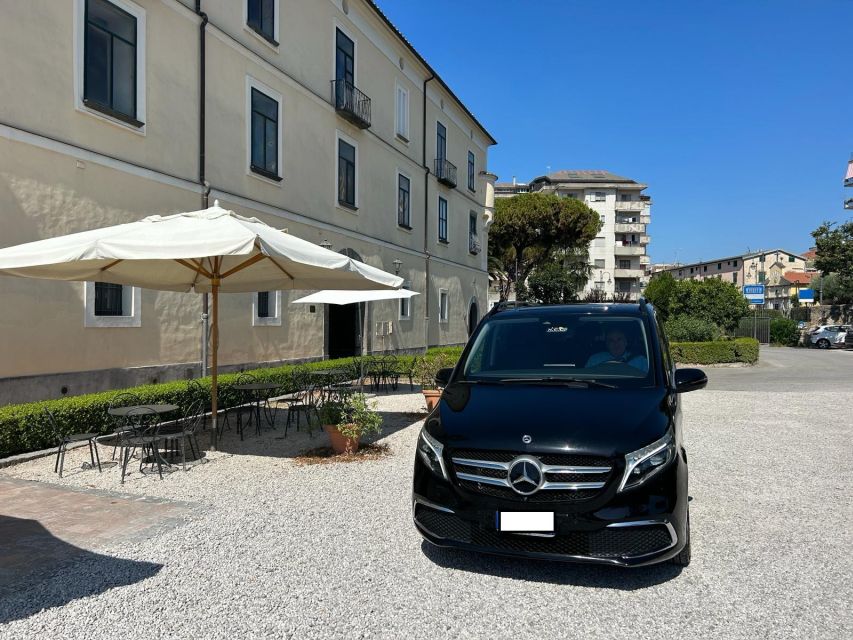 Private Transfer From SALERNO to NAPLES AIRPORT (Capodichino) - Vehicle and Driver Details