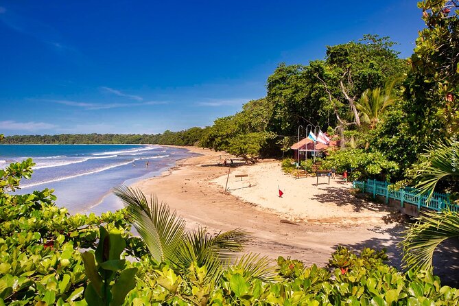 Private Transfer From San Jose City To Cahuita Costa Rica - Pickup and Drop-off Details