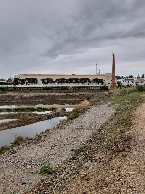 Private Transfer From Seville to Algarve by 8 Seats Minibus - Vehicle Amenities