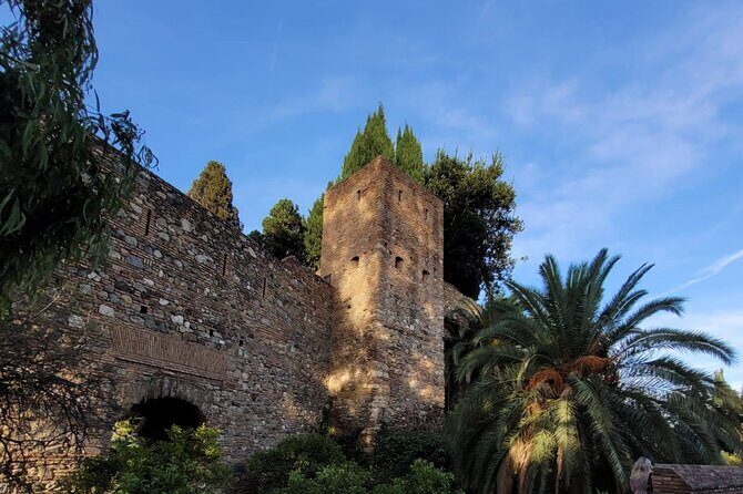 Private Transfer From Sorrento to Naples - Vehicle Comfort and Service Details