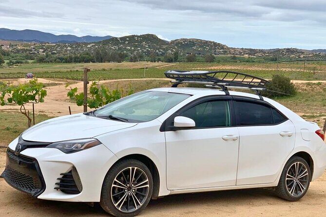 Private Transfer from Tijuana to Ensenada and Valle de Guadalupe - A Closer Look at the Experience