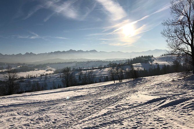 Private Transfer From/To the Krakow Airport - Accessibility and Capacity