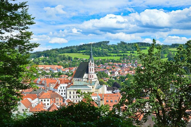 Private Transfer From Vienna to Prague With Stop in Cesky Krumlov - Driver and Service