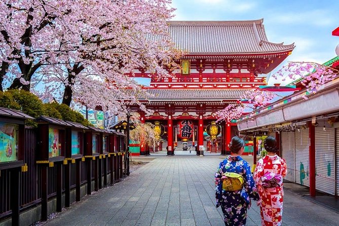 Private Transfer: Haneda Airport HND to Tokyo in Luxury Van - Pickup and Drop-off