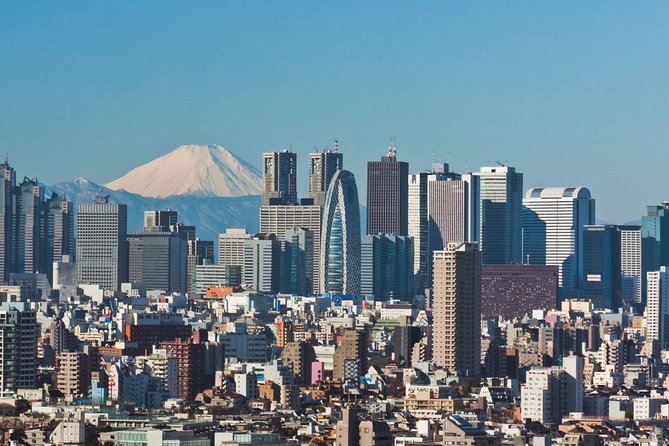 Private Transfer: Haneda Airport HND to Tokyo in Luxury Van - Included Services