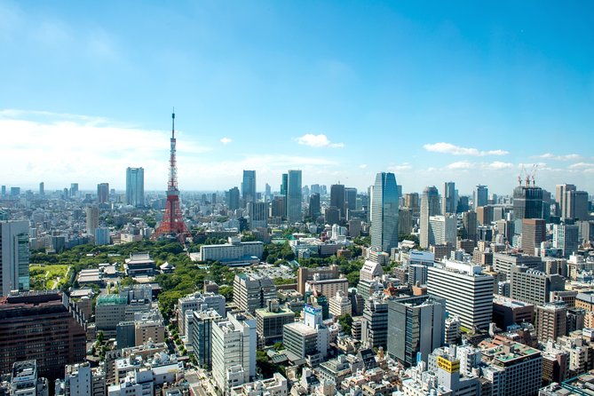 Private Transfer: Haneda Airport HND to Tokyo in Luxury Van - Traveler Considerations