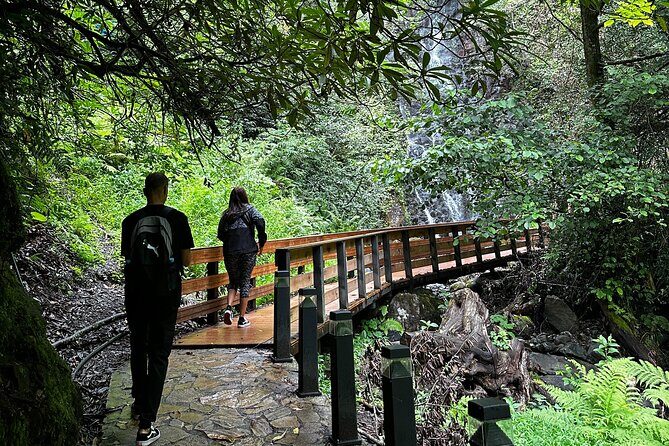 Private Transfer: Kutaisi Airport to Batumi - Final Thoughts on Value and Suitability