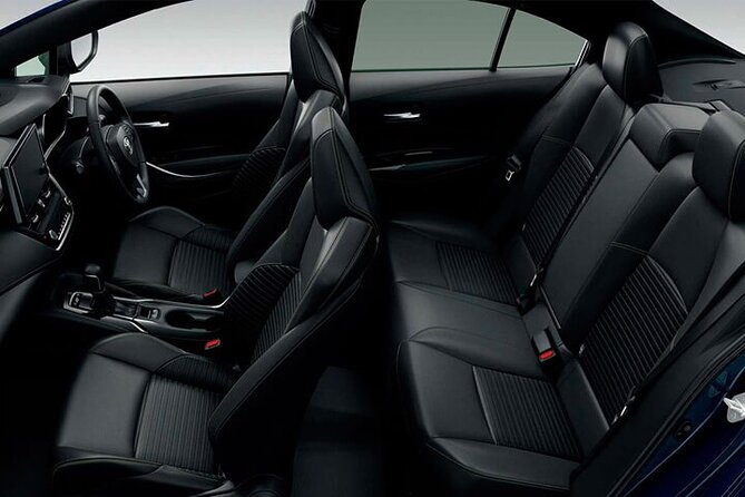 Private Transfer Mendoza Airport MDZ to Mendoza by Car or Minibus - Vehicle Options