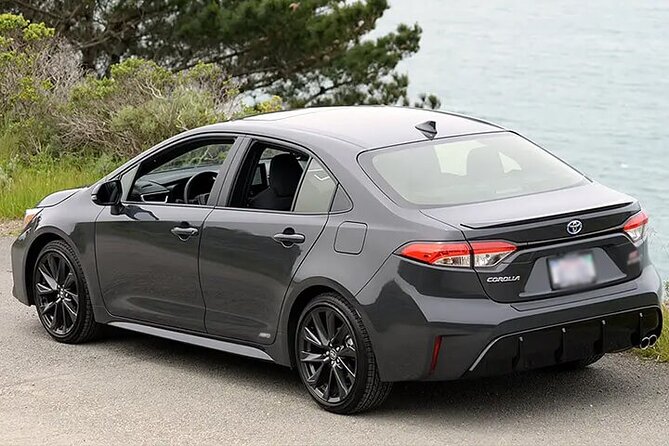 Private Transfer Mendoza Airport MDZ to Mendoza by Car or Minibus - Feedback and Reviews