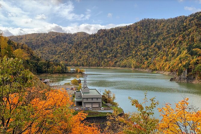 Private Transfer New Chitose Airport to Hokkaido Attractions - Additional Information