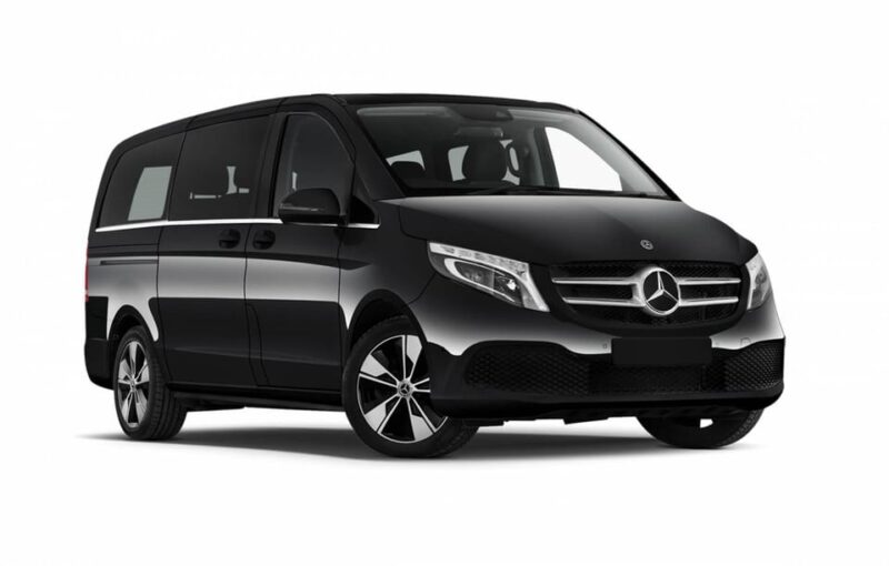 Private Transfer Nice Airport to Nice City - Traveler Suitability