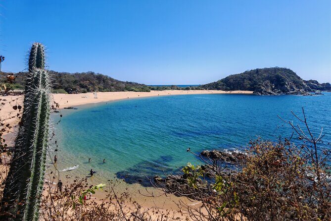 Private Transfer Oaxaca Centro and Mazunte or San Agustinillo - An In-Depth Look at the Transfer Experience