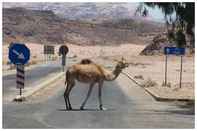 Private Transfer Petra To/From Wadi Rum - Additional Considerations