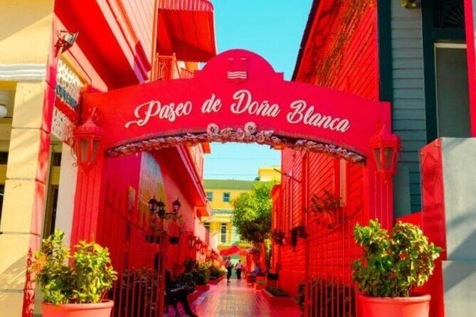 Private Transfer Puerto Plata to Cibao Airport - The Value of the Service