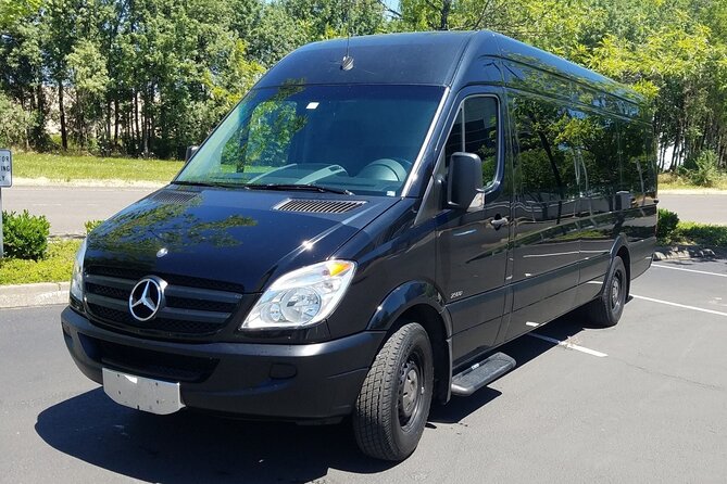 Private Transfer Punta Cana Airport To/From Barcelo Bavaro Beach - Additional Services and Fees