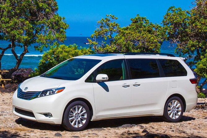 Private Transfer Punta Cana Airport To/From Hilton La Romana - Transportation Features and Amenities
