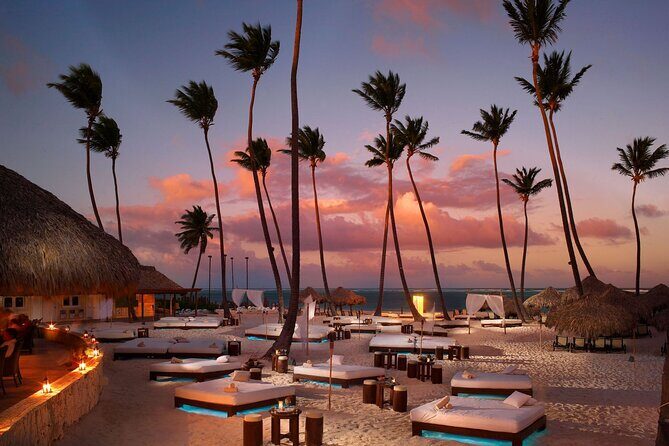 Private Transfer Punta Cana Airport to/from Paradisus Palma Real - Key Points