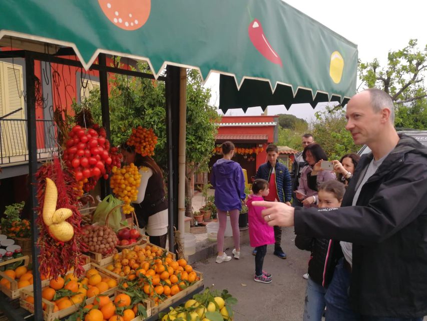 Private Transfer Rome / Amalfi Coast or Vice Versa - Experience Highlights