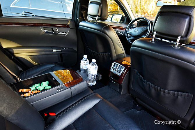 Private Transfer: Rome Fiumicino Airport to Civitavecchia Port - Who Is This Transfer Best For?