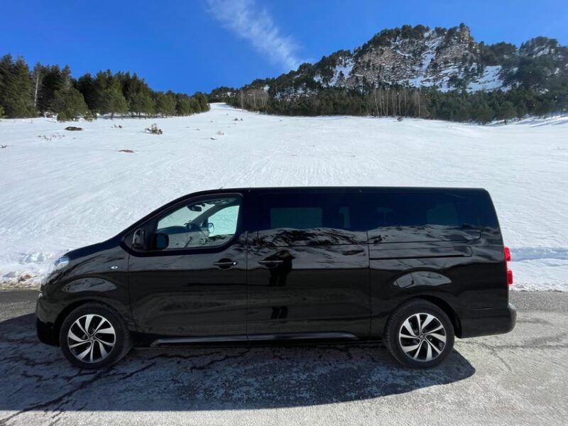 Private Transfer Tarbes Lourdes Airport to Lourdes - Passenger Capacity