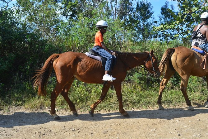 Private Transfer to Beach Horse Back Ride and Swim - Frequently Asked Questions