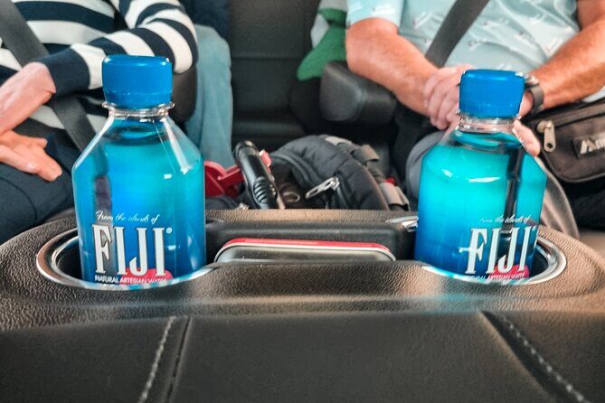 Private Transfer to Port Everglades, Fort Lauderdale Cruise Port - The Itinerary in Detail