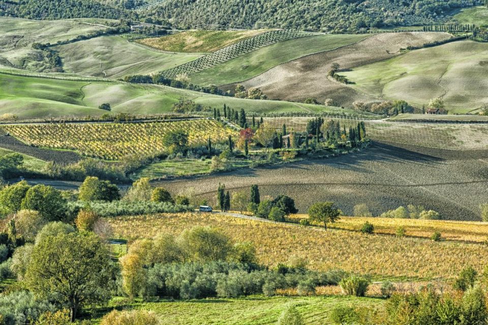 Private Transfer to Siena From Naples/Sorrento/Amalfi Coast - Experience