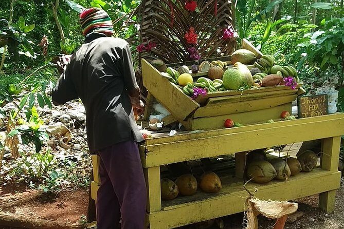 Private Transfer to Yaaman Adventure Park from Ocho Rios - Who Should Consider This Tour?