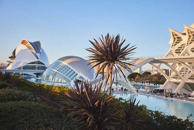 Private Transfer: Valencia to Valencia Airport VLC in Luxury Van - Booking Details