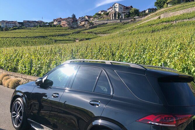 Private transfer Zurich to Interlaken (1-6 persons) - Why Choose This Private Transfer?