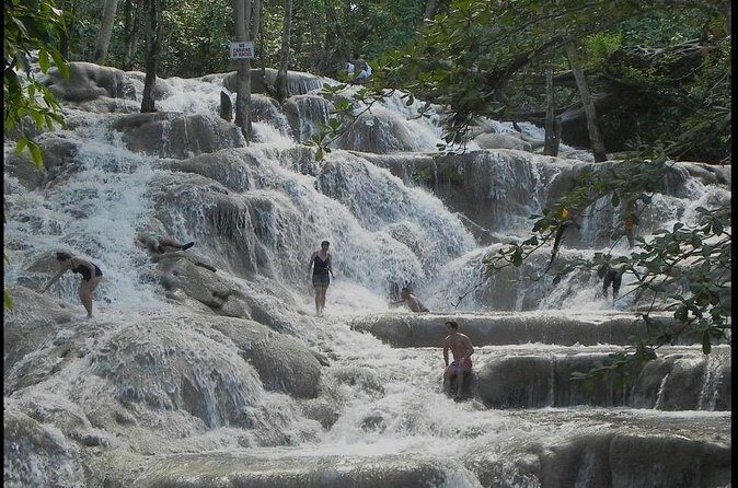 Private Transfers All Around Jamaica - Pricing and Value