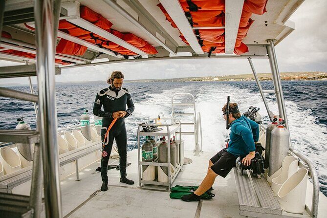 Private Transfers between Bonaire airport and any local address - Why This Transfer Offers Good Value