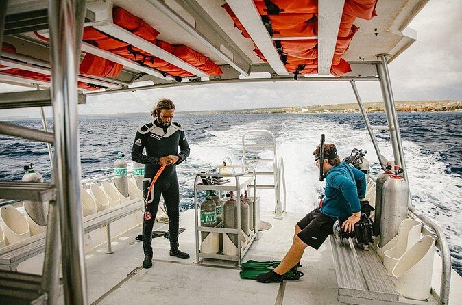 Private Transfers between Bonaire airport and any local address - The Sum Up: Who Should Consider This Service?