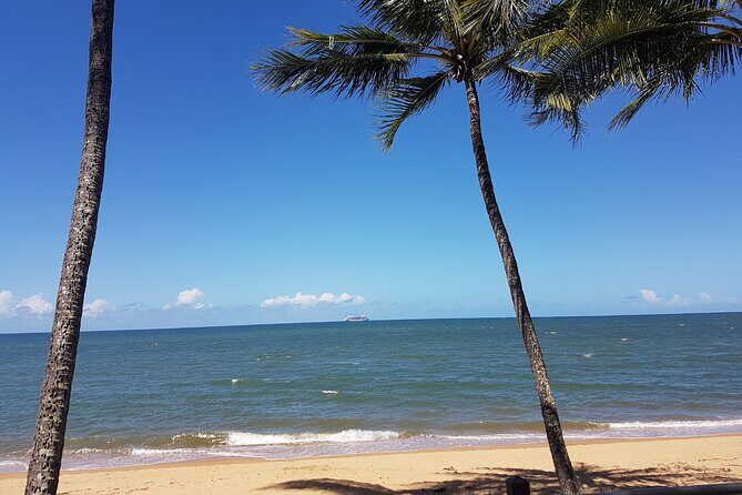 Private Transfers - Cairns Airport to Cairns City - The Sum Up