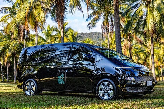 Private Transfers Cairns Airport to Port Douglas - The Sum Up