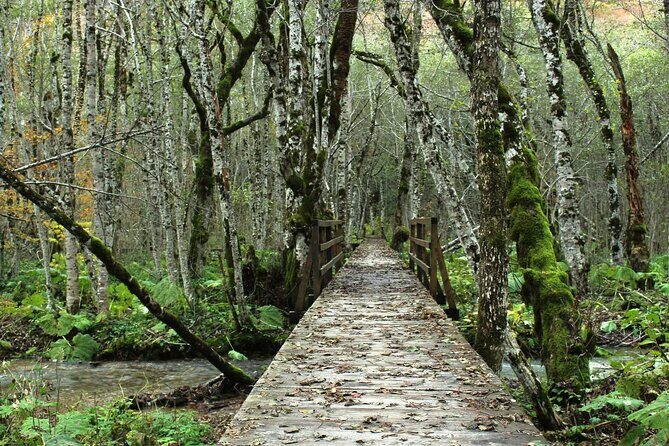 "Private Transfers & Day Tours in Montenegro - What to Expect from Your Montenegro Private Transfer & Day Tour