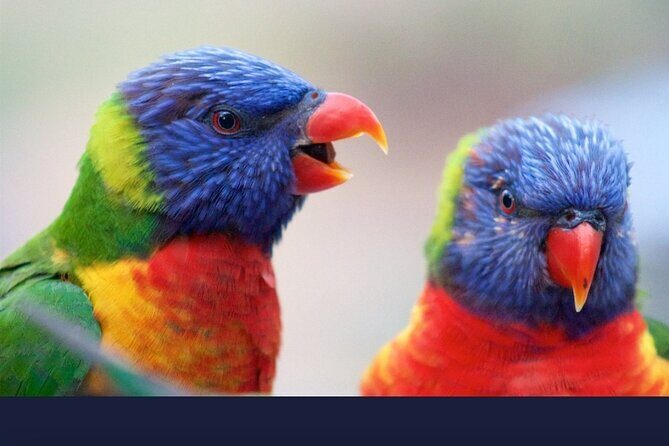 Private Transfers From Brisbane to Gold Coast - An In-Depth Look at the Private Transfer Service