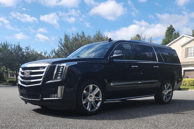 Private Transfers From Disney Hotels to Port Canaveral - Accessibility and Participation