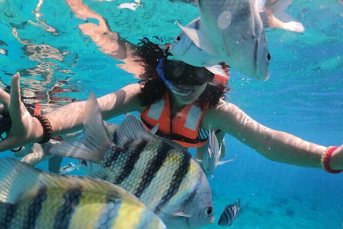 Private Transparent Boat Tour in the Sea of Cozumel - A Detailed Look at the Experience