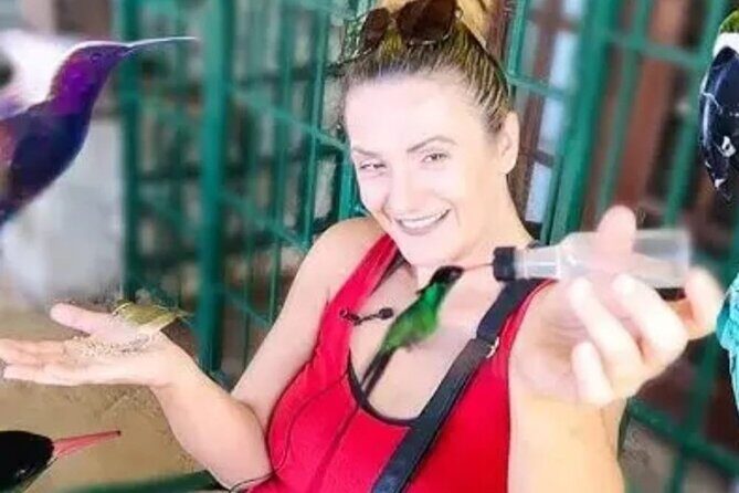 Private Transport and Airport Transfer in Montego Bay - Who Should Consider This Transfer?