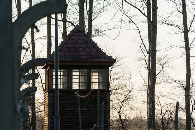 Private Transport and Fully Guided Tour Auschwitz-Birkenau - Customer Reviews and Feedback